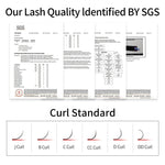 Classic Individual Eyelash Extension Lashes